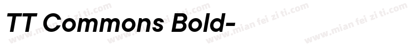 TT Commons Bold字体下载字体转换